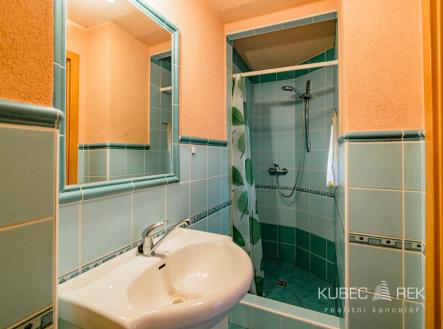 dsc-3.jpg | Pronájem bytu, 1+kk, 20 m²