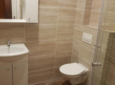 71637343-2343991939051430-3360305609785212928-n.jpg | Pronájem bytu, 1+kk, 24 m²