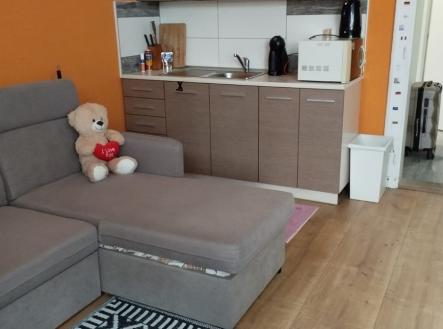 a9cd37ca-baee-4fd2-8da5-fd8663de2cf0.jpeg | Pronájem bytu, 1+kk, 32 m²