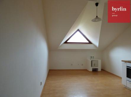 p1130664.jpg | Pronájem bytu, 4+kk, 80 m²