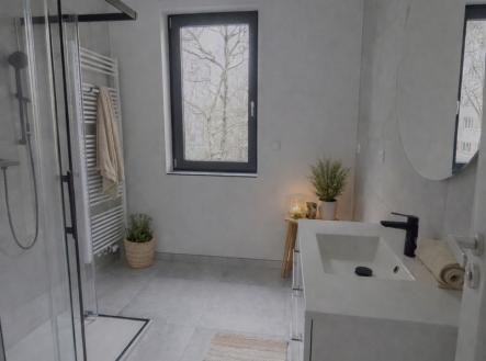 koupelna.png | Pronájem bytu, 2+kk, 63 m²