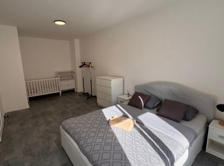 photo-2026-02-26-12-43-16.jpg | Pronájem bytu, 2+kk, 50 m²