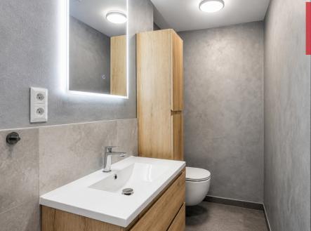 koupelna-2.png | Pronájem bytu, 2+kk, 69 m²
