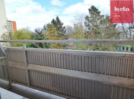 p1140019.jpg | Pronájem bytu, 1+kk, 18 m²