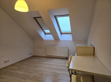 d | Pronájem bytu, 1+kk, 20 m²