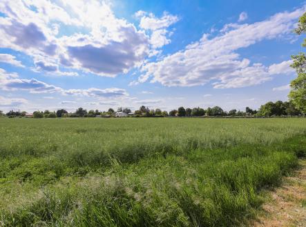 005A4210 | Prodej - pozemek pro komerční výstavbu, 11 768 m²