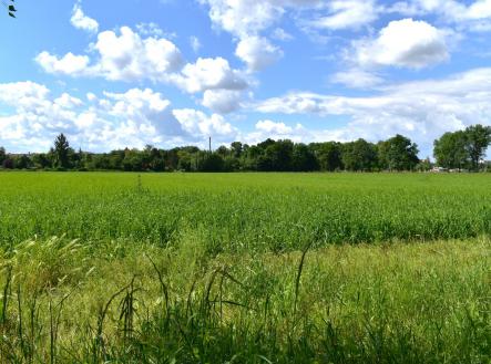 DSC_10796 | Prodej - pozemek, zemědělská půda, 36 521 m²