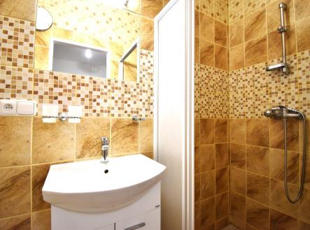 DSC_10034 | Pronájem bytu, 1+kk, 28 m²