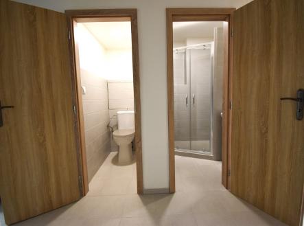 DSC_10228 | Pronájem bytu, 2+1, 62 m²