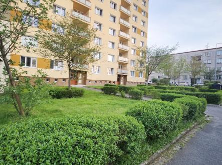 20240430_195706 | Pronájem bytu, 1+1, 40 m²