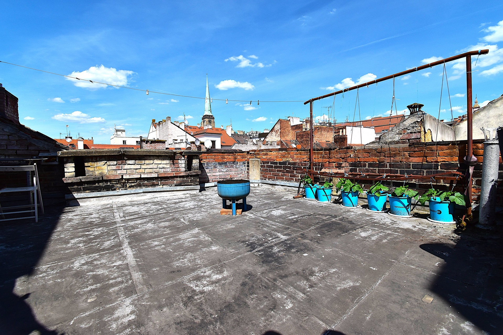 DSC_10080