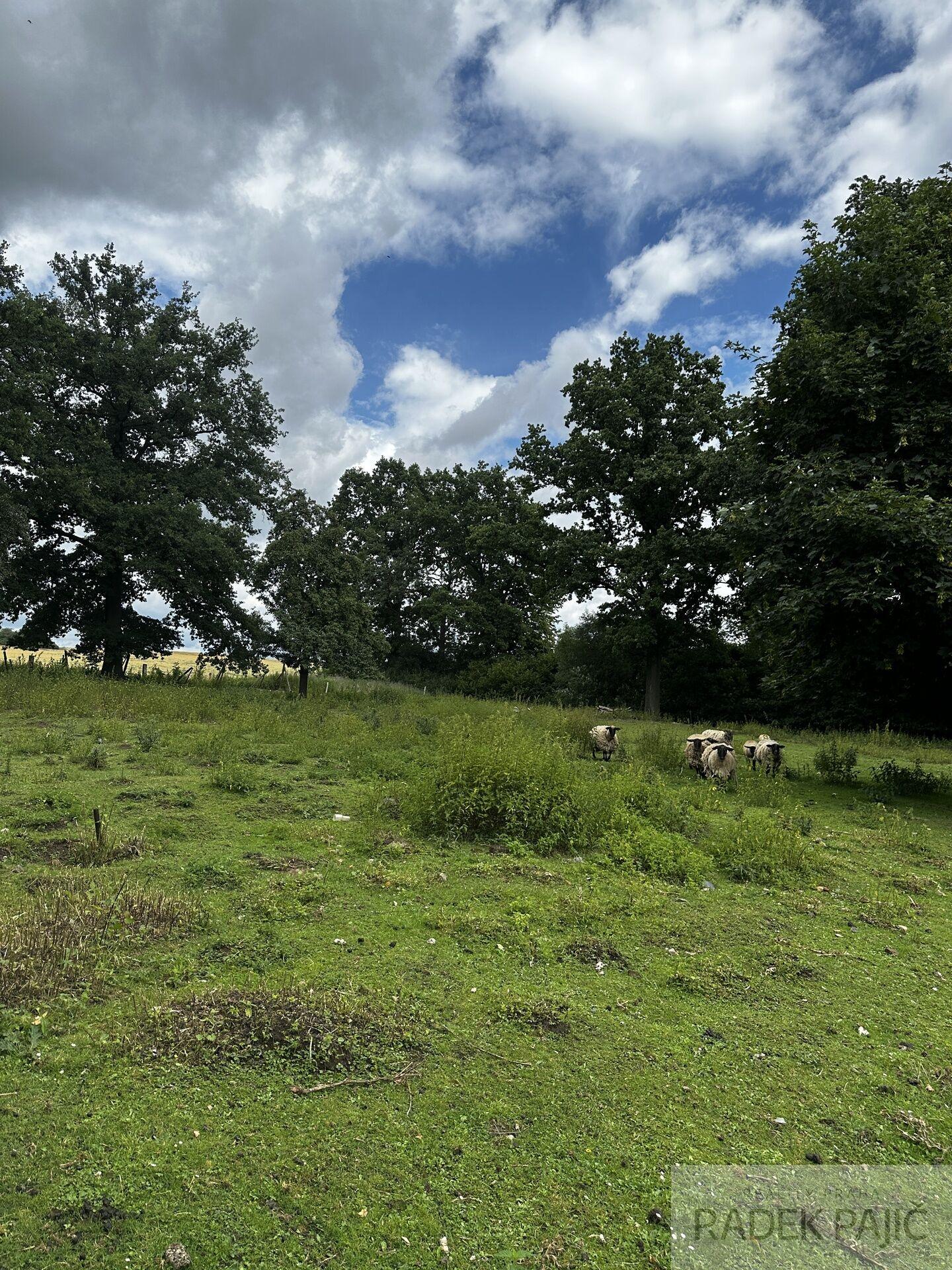 Prodej stavebního pozemku, 3 589 m2, Čečovice, okr. Plzeň-jih