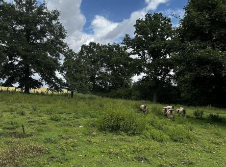 Prodej - pozemek pro bydlení, 3 589 m²