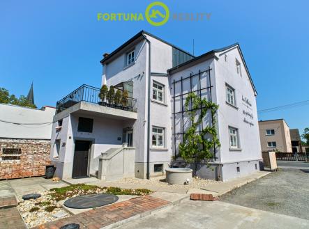 Prodej - dům/vila, 338 m²