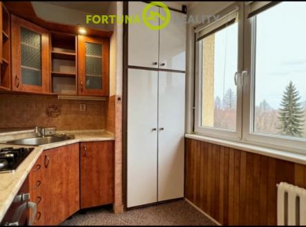 frame-01001.jpg | Pronájem bytu, 2+1, 55 m²