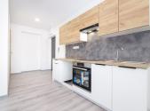 Pronájem bytu, 1+1, 45 m²