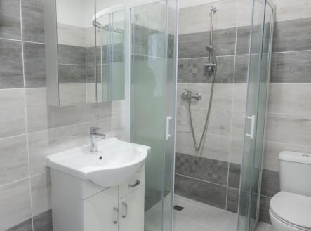_1004173.jpg | Pronájem bytu, 1+1, 45 m²