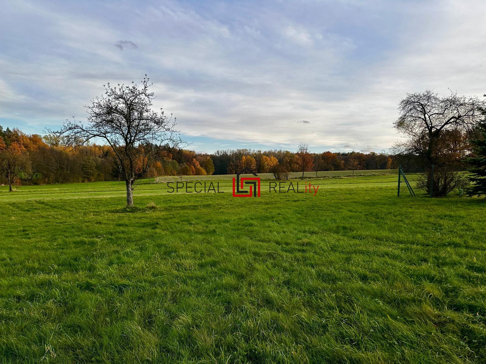 PHOTO-2025-11-24-19-54-03 6.jpg