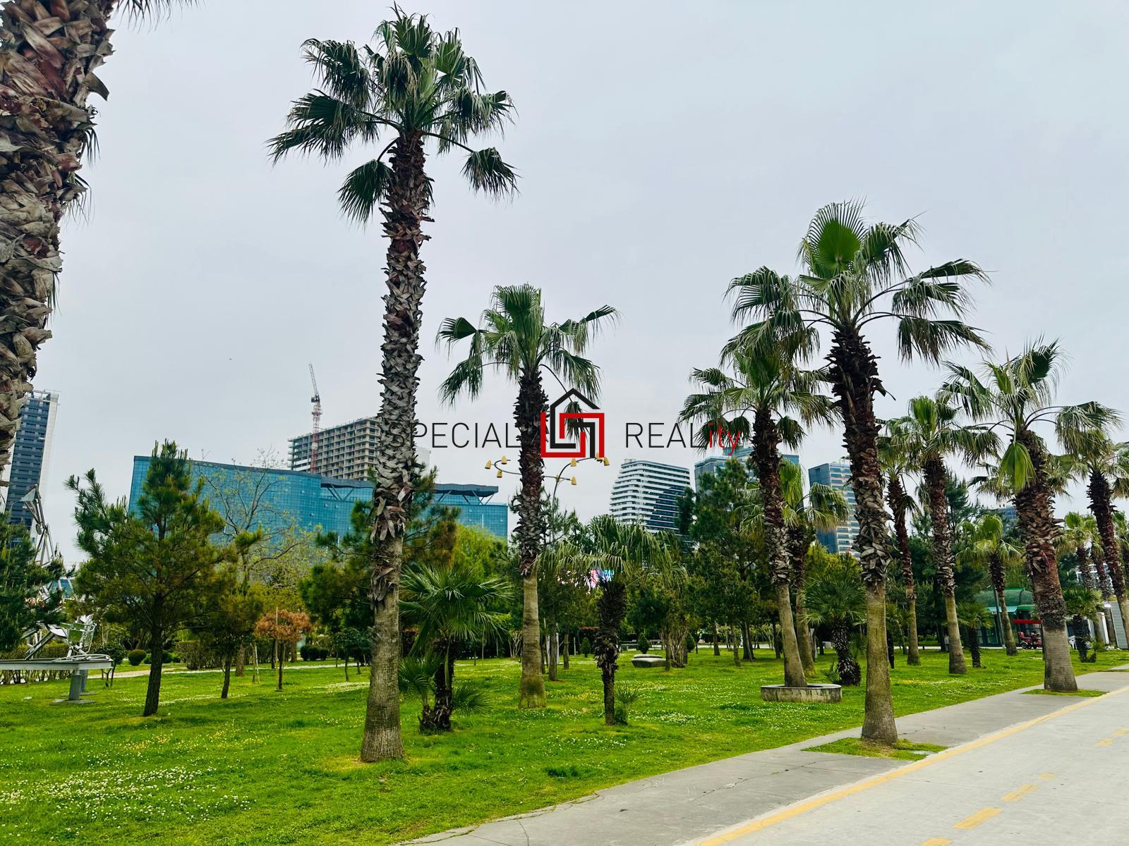 PHOTO-2025-11-30-15-18-15 48.jpg