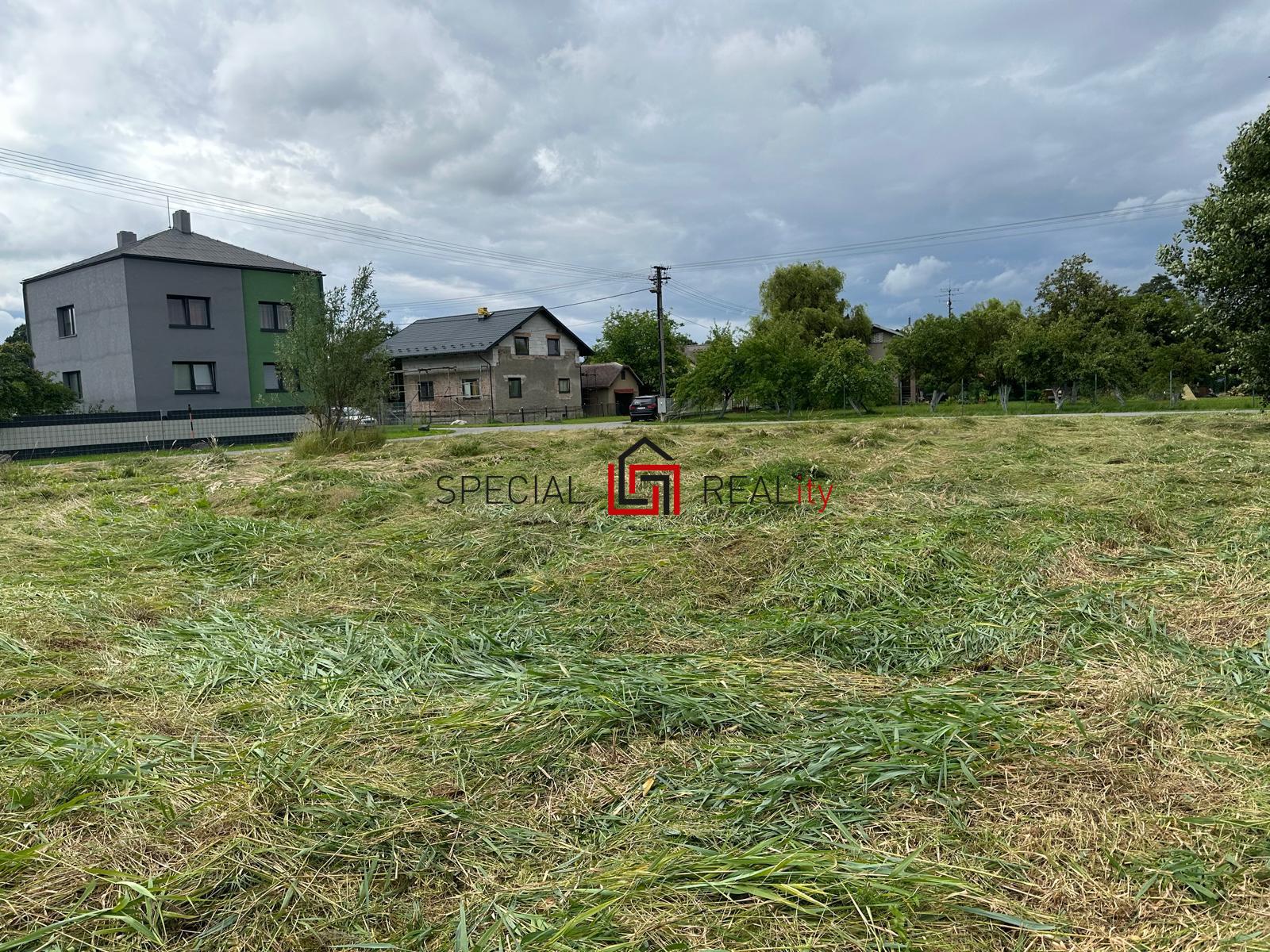 PHOTO-2025-12-06-19-36-07 2.jpg