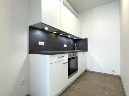 IMG_1896.JPG | Pronájem bytu, 1+kk, 69 m²