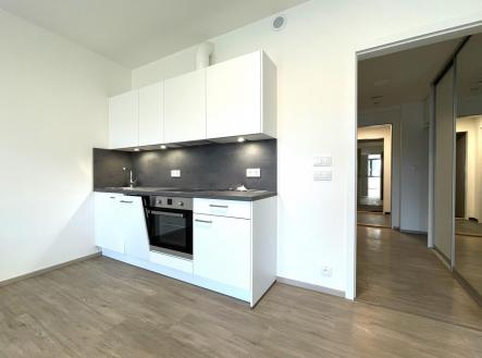 IMG_2315.JPG | Pronájem bytu, 1+kk, 46 m²