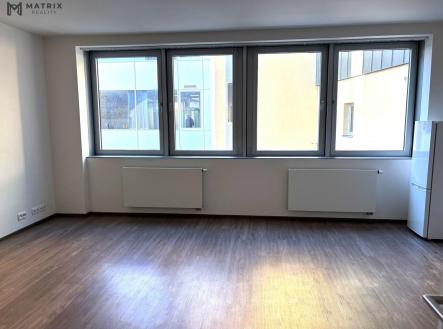 IMG_1232.jpg | Pronájem bytu, 1+kk, 48 m²