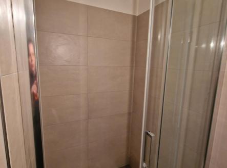 20250402_110033.jpg | Pronájem bytu, 1+kk, 29 m²