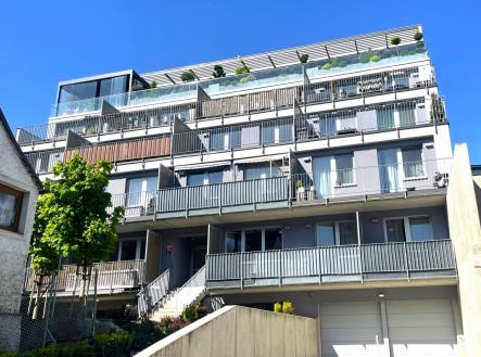IMG_7089.JPG | Pronájem bytu, 1+kk, 48 m²