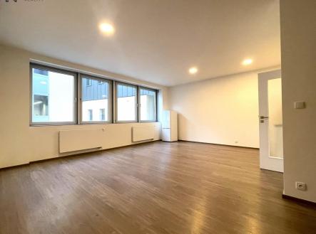 IMG_3687.JPG | Pronájem bytu, 1+kk, 48 m²