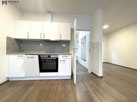 IMG_3677.JPG | Pronájem bytu, 1+kk, 48 m²