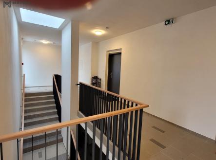 20260209_145303.jpg | Pronájem bytu, 2+kk, 49 m²