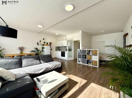 IMG_E3713.jpg | Pronájem bytu, 1+kk, 72 m²