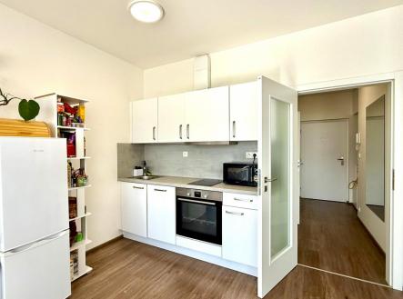 IMG_E3716.jpg | Pronájem bytu, 1+kk, 72 m²