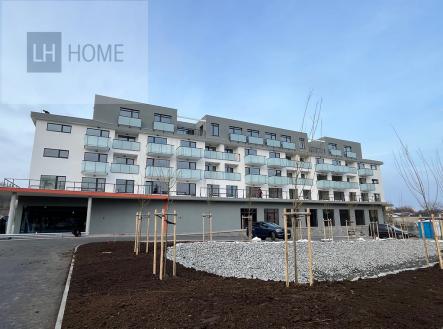 img-4321.jpeg | Pronájem - jiné, 80 m²