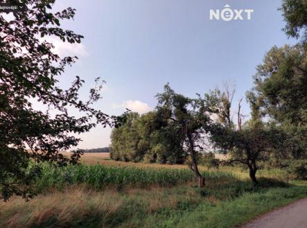 Prodej - pozemek, zemědělská půda, 6 011 m²