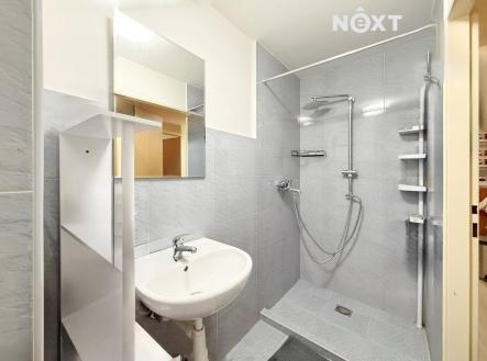 Pronájem bytu, 1+1, 31 m²