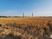 Prodej - pozemek, zemědělská půda, 5 938 m²