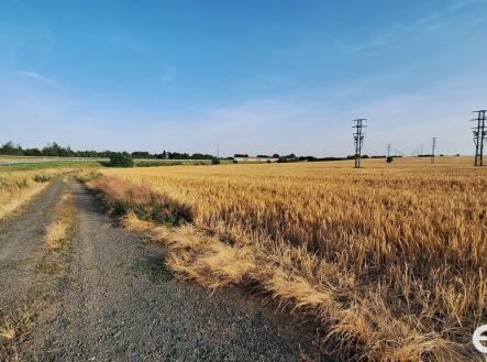 20240629-191556.jpg | Prodej - pozemek, zemědělská půda, 5 938 m²
