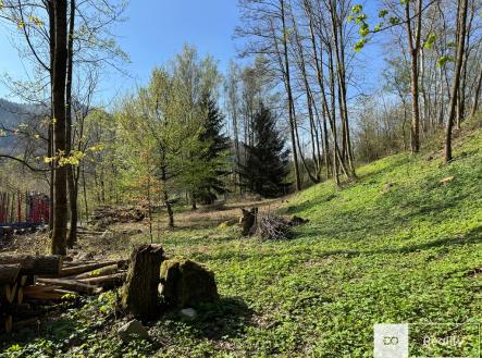 Prodej - pozemek pro bydlení, 3 895 m² obrázek