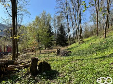 Pohled na pozemek | Prodej - pozemek pro bydlení, 3 895 m²