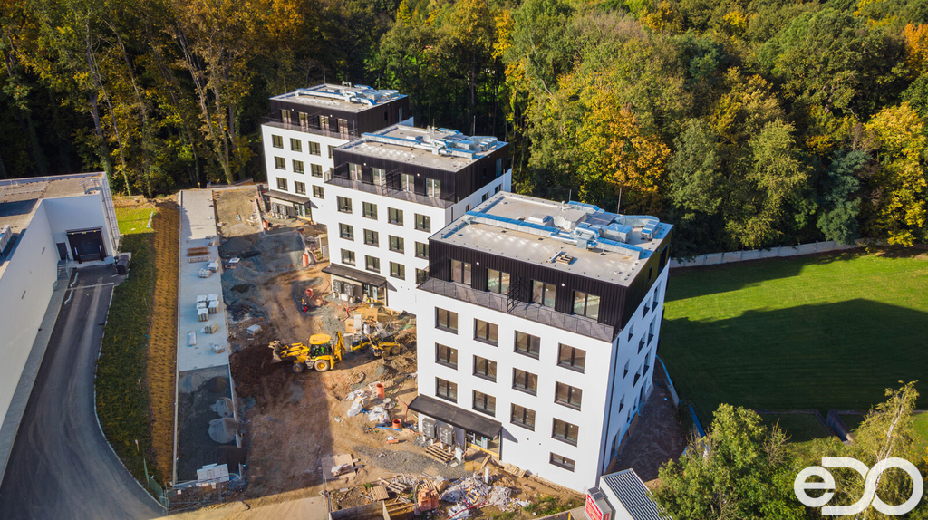 20241014-dji-0549-enhanced-nr.jpg