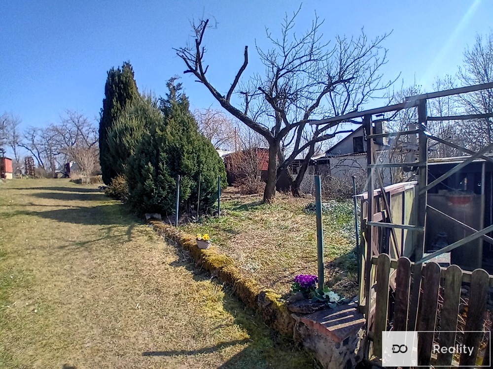 20250321-130603.jpg