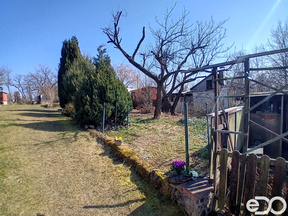 20250321-130603.jpg