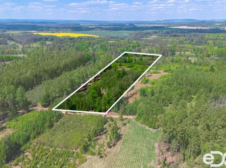 01-v.jpg | Prodej - pozemek, les, 79 500 m²