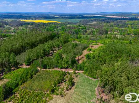 01-1.jpg | Prodej - pozemek, les, 79 500 m²