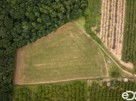 david-techlovice-3.jpg | Prodej - pozemek pro bydlení, 11 163 m²