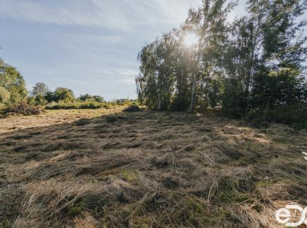 dsc02559.jpg | Prodej - pozemek pro bydlení, 3 564 m²