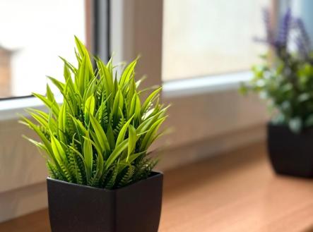 4.jpg | Pronájem bytu, atypický, 100 m²