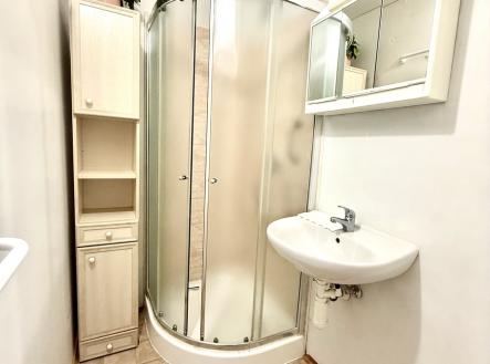 img-0460.jpeg | Pronájem bytu, 1+1, 44 m²